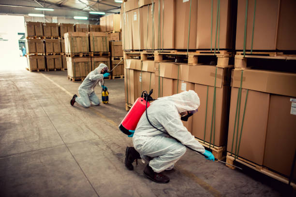 Best Pest Control Near Me  in Vernonia, OR
