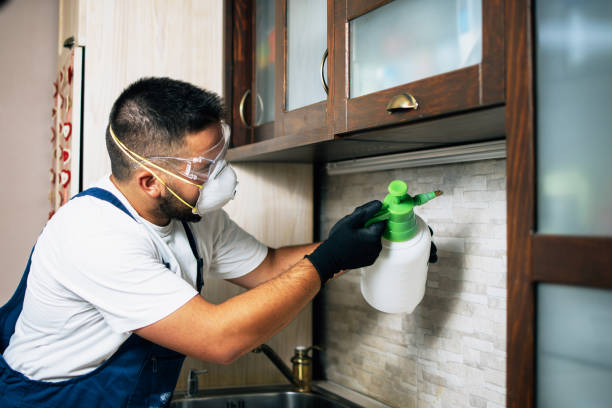 Best Exterminator Services  in Vernonia, OR