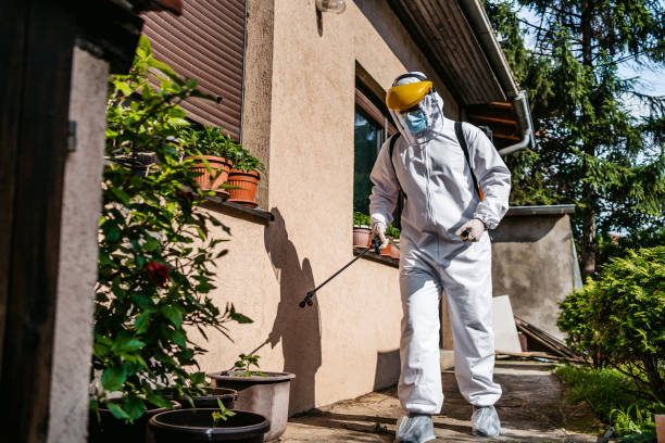 Best Pest Control Near Me  in Vernonia, OR