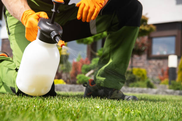 Best Bird Control  in Vernonia, OR