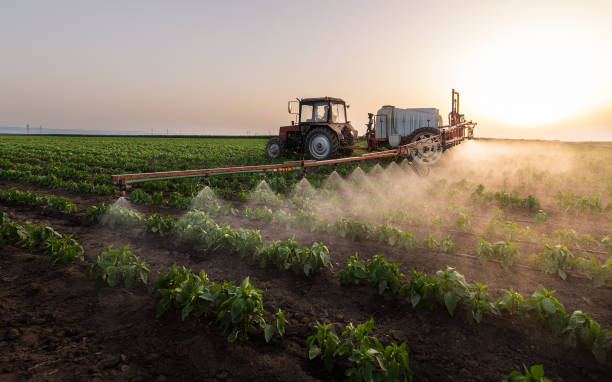 Pest Control Cost in Vernonia, OR