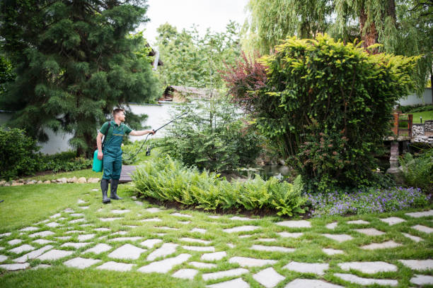 Best Emergency Pest Control  in Vernonia, OR