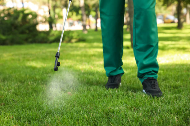 Best Emergency Pest Control  in Vernonia, OR