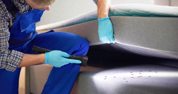 Best Termite Control Services  in Vernonia, OR