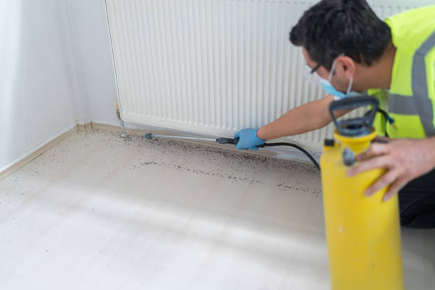 Best Pest Control Cost  in Vernonia, OR
